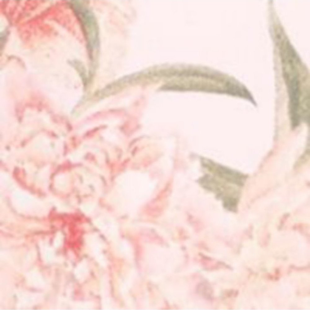 Flora by Flora Nikrooz Printed Pajama Shorts Set - Picture 3 of 3